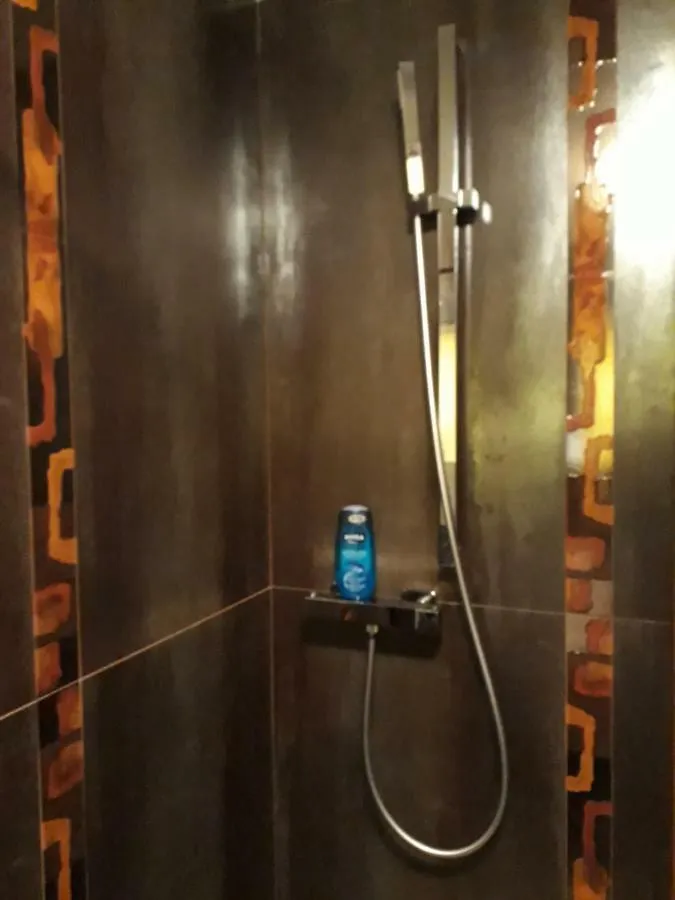 Apartman V Zahrade Apartment Prague 0*,